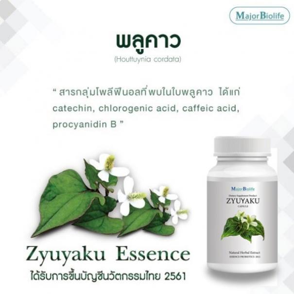ซุยยากุ แคปซูล Zyuyaku capsules-4